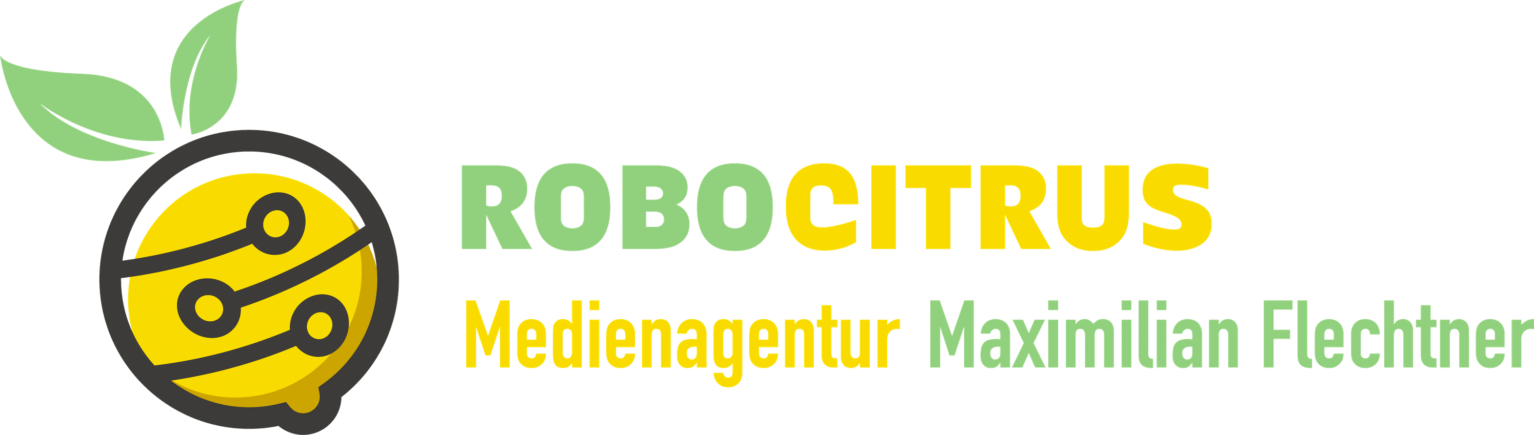 Medienagentur Maximilian Flechtner